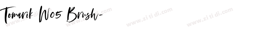 Tomarik W05 Brush字体转换 Tomarik W05 Brush字体转换